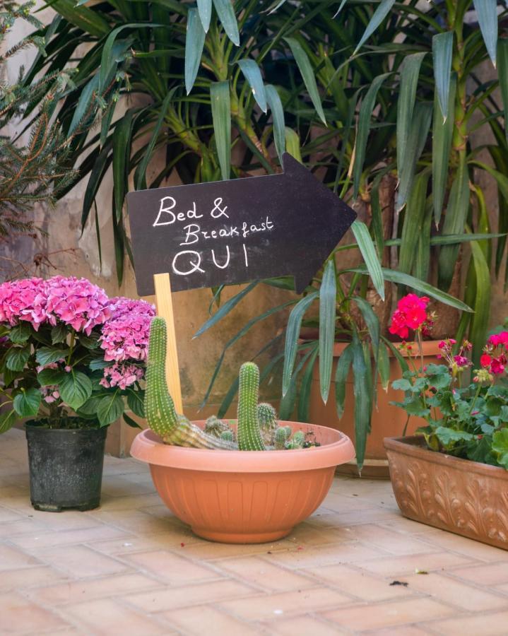 La Maison D'Etrusque Bed & Breakfast Tarquinia Ngoại thất bức ảnh